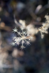 Similar image 21671499