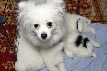 Similar image 21671506