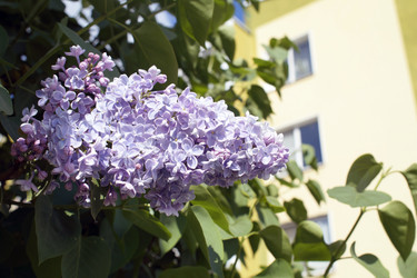 Similar image 21671512