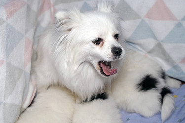 Similar image 21671514