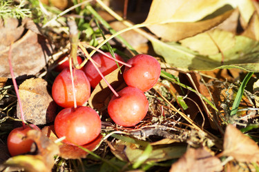 Similar image 21671519