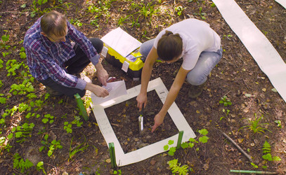 Similar image 21671895