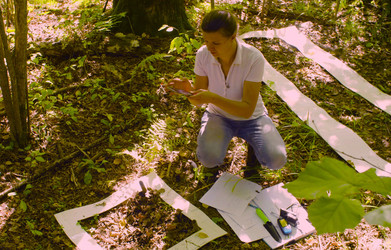 Similar image 21671896