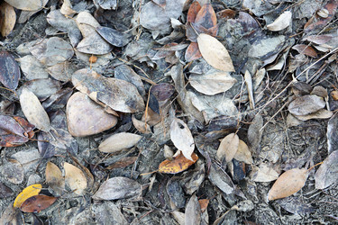 Similar image 21671830