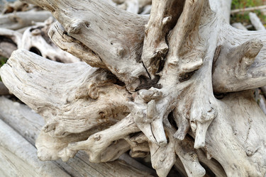 Similar image 21671835