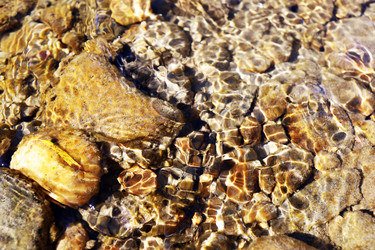 Similar image 21671467