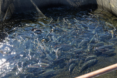 Similar image 21671526