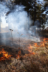 Similar image 21671529