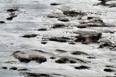 Similar image 21671533