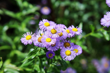 Similar image 21671546