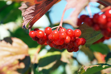 Similar image 21671549