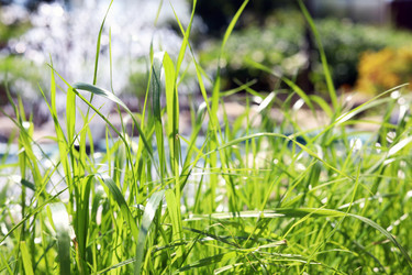 Similar image 21671550