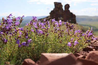 Similar image 21671551