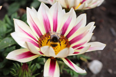 Similar image 21671554