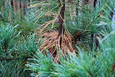 Similar image 21671634