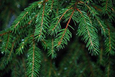 Similar image 21671639