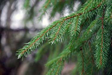 Similar image 21671644