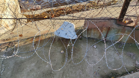 Similar image 21671653