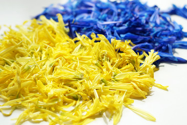 Similar image 21671559