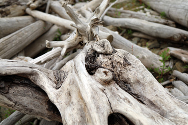 Similar image 21671840