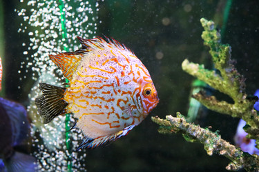 Similar image 21671846