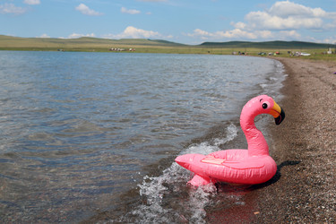 Similar image 21671848