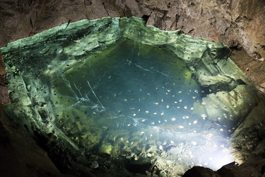 Similar image 21671850