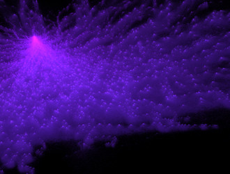 Similar image 21674484