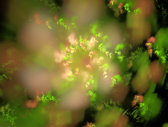 Similar image 21675737