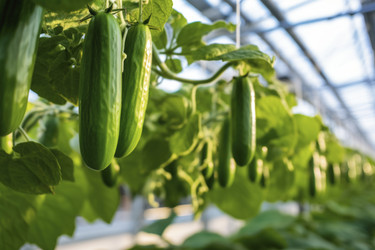 Similar image 21674399