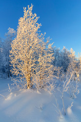 Similar image 21671902