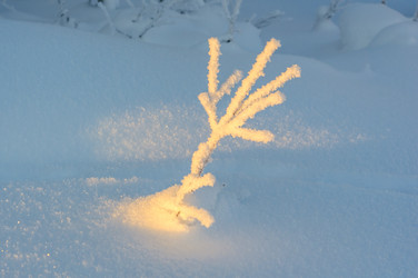 Similar image 21671903