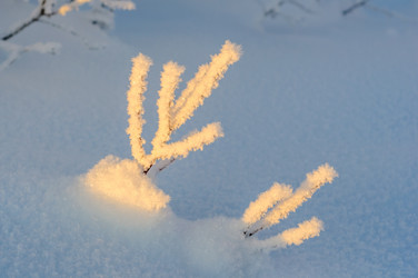 Similar image 21671905