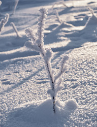 Similar image 21671906