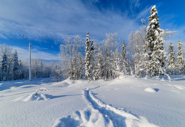 Similar image 21671916