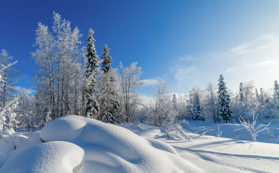 Similar image 21671918