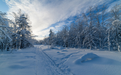 Similar image 21671919