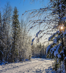 Similar image 21671922