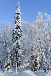 Similar image 21671923