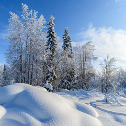 Similar image 21671924