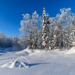 Similar image 21671925