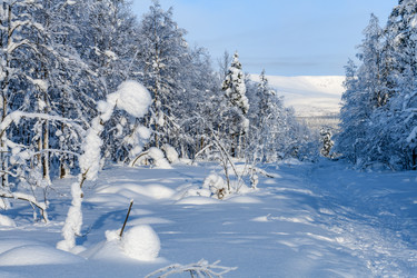 Similar image 21671927