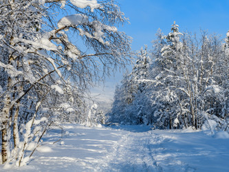 Similar image 21671930