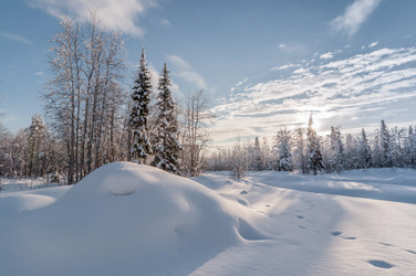 Similar image 21671979