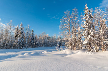 Similar image 21671980