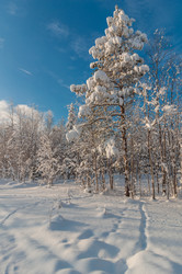 Similar image 21671981