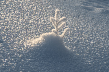 Similar image 21671984