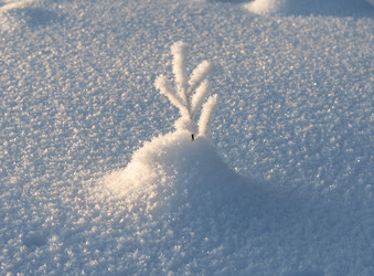 Similar image 21671985