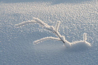 Similar image 21671986