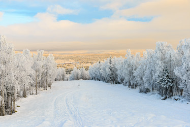 Similar image 21671996